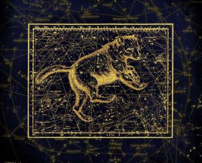 星座 星座图 天堂 星星 星空 制图 天体地图绘制