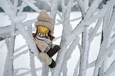 女孩 数字 帽 冬天 雪 寒冷的 坐着 树 科 分支 下雪的