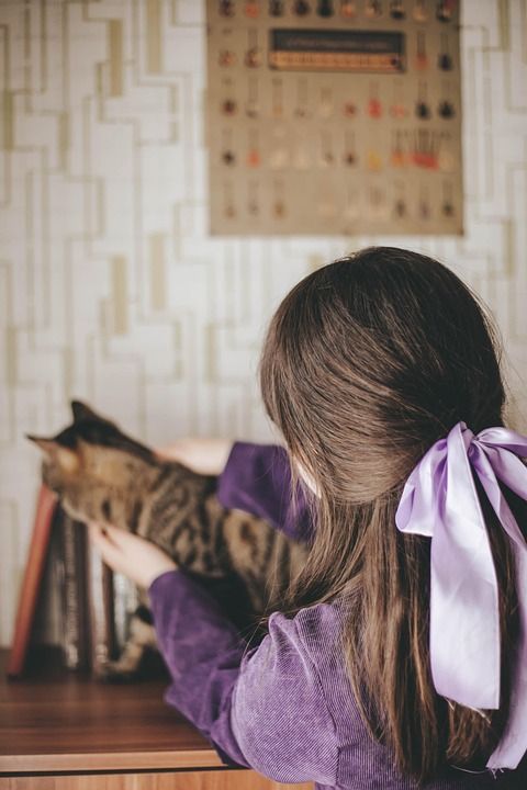 猫 小猫 宠物 女孩 朋友们 孩子 丝带