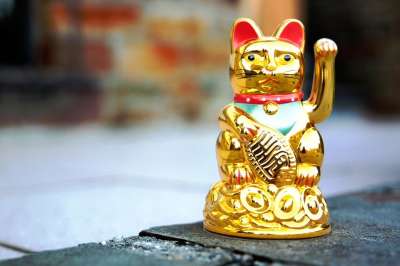 招财猫 挥手的猫 挥手 幸运符 日本人 猫 金子 数字 亚洲人