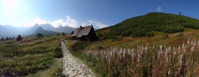 波兰 国家公园 山 景观 冬奥会 秋天 性质 山松