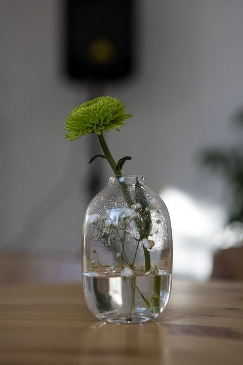 花 花瓶 家居装饰