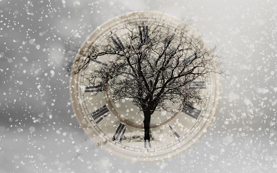 雪, 降雪, 新的一年的一天, 西尔维斯特, 树, 孤, 钟, 钟面, 冬天