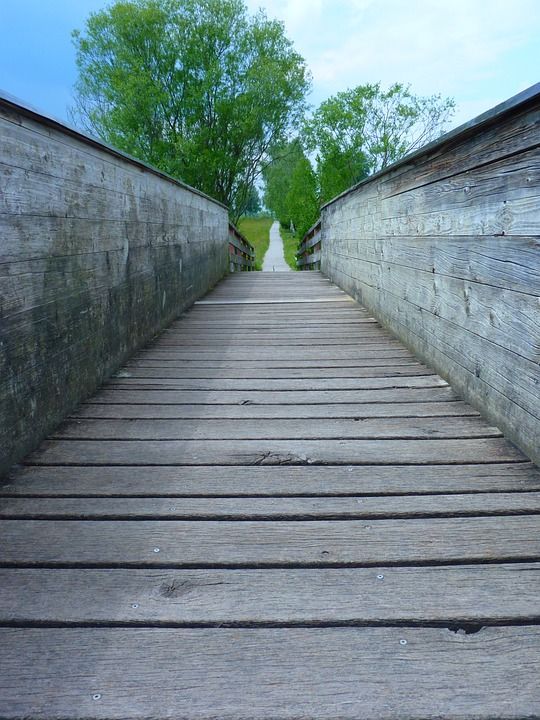 桥 网络 小路