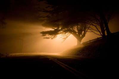 景观 夜晚 路 光轴 多雾路段 怪异 黑暗的 森林 轮廓 树