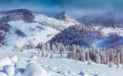 奥地利 山 谷 雪 冬天 森林 树木 景观 风景秀丽的 国家