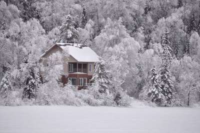 冬天风景 雪 结冰的湖 自然 冰皮月饼 白色的 树木 冬天 雪景