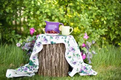 花园 茶会 下午茶 夏天 静物 户外 乡村 自然 作品 下午茶