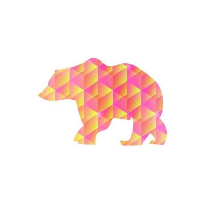 熊 颜色 照相馆 插画师 画画 设计 图案 明亮的 白色的