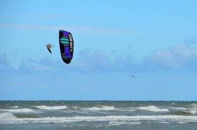 海 海滩 斯特拉海滩 Hauts De France 度假村 砂