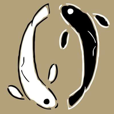 晕染 苏梅 黑色墨水 东方 禅 水墨画 水墨风格 绘画 鱼