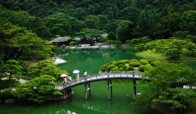 日本 日本花园 桥 森林 树木 人们 池塘 湖 水 反思