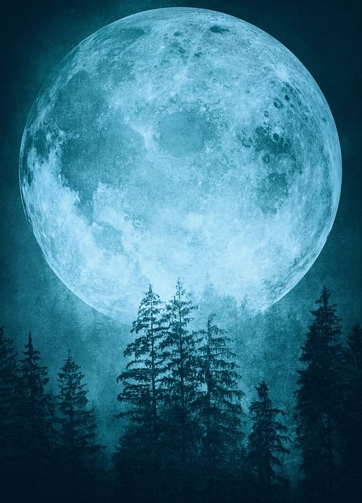 月亮 满月 树木 月光 月球 夜晚 光 哥特 背景 幻想
