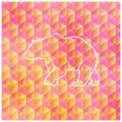 熊 颜色 照相馆 插画师 画画 设计 图案 明亮的 白色的