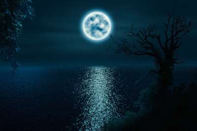 树木 月亮 湖 月光 夜晚 图像处理 神秘 情绪 黑暗的 满月