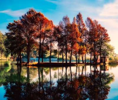 中国 湖 反思 落下 秋天 叶子 旅游 天空 云 风景秀丽的