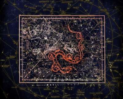 星座 星座图 天堂 星星 星空 制图 天体地图绘制