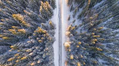 自然 森林 霜 下雪的 树木 风景 路 雪 空气 冬天 季节