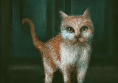 动物 绘画 猫 猫科动物 宠物 哺乳动物 毛皮 胡须
