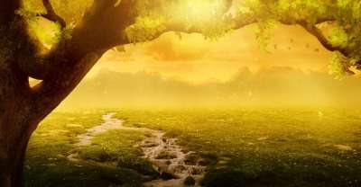 背景 幻想 景观 树 溪 草地 山 太阳 云 照明心情 日出