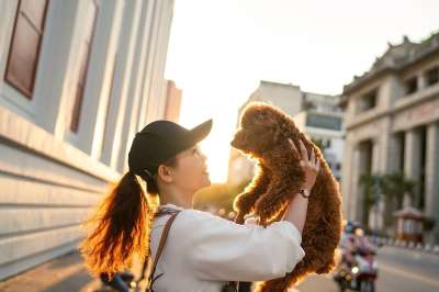 女士 狗 宠物 日落 街道 城市 路 朋友们 女孩 肖像