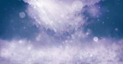冬天 雪 景观 树木 降雪 闪耀 雪景 神秘 寒冷的 球体