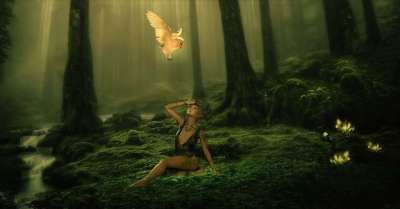 幻想 仙女 森林 猫头鹰 魔法 背景 神奇的生物