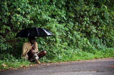 老人 雨伞 雨 街道 绿色 自然