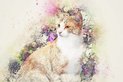 猫 动物 花朵 艺术 眼睛 抽象 水彩 优质的 浪漫的 春天