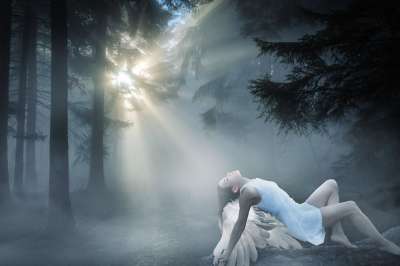 幻想 森林 天使 闪光 超现实的 雾 树木 女士 魔术 年轻