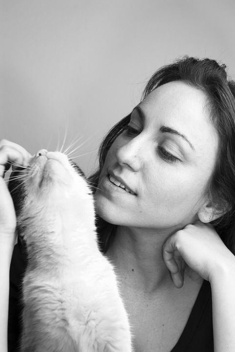 女孩 猫 爱 年轻 女性 美丽的 动物 美丽 可爱的 宠物