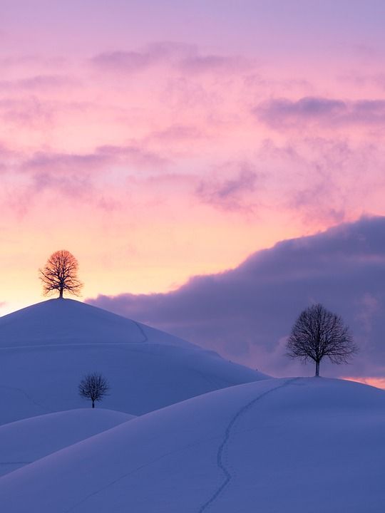 手机壁纸 丘陵 冬天 日落 雪 树木 霜 寒冷的 雪景 景观