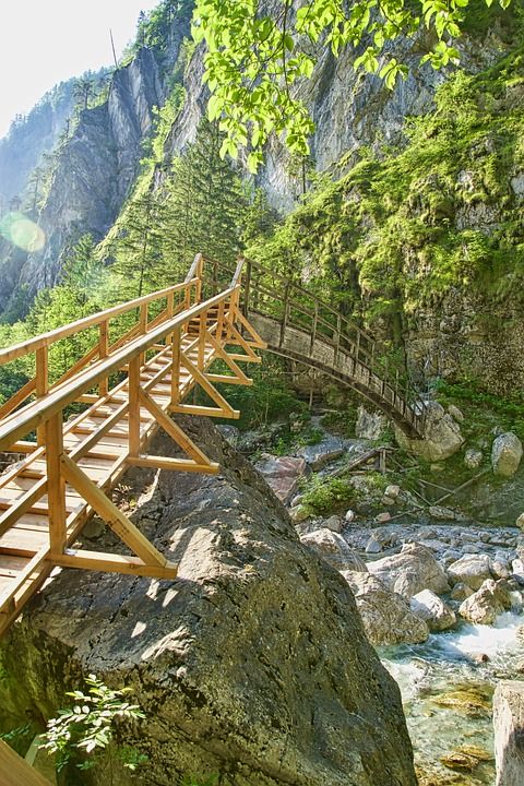 桥 木制的 溪 山 森林 木板路 小路