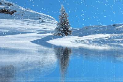 冬天 雪 降雪 寒冷的 冬季景观 圣诞装饰 雪景 冰晶