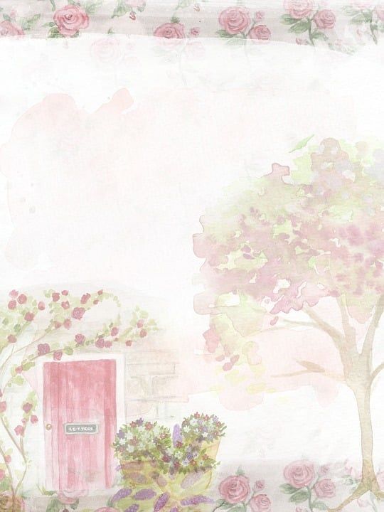柔软的 粉色的 玫瑰 背景 门 树 浪漫的 花盆 花朵 郁金香