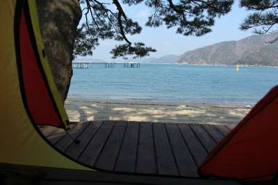 帐篷 野营 海洋 露营地 海滩 树 风光 大自然 早晨