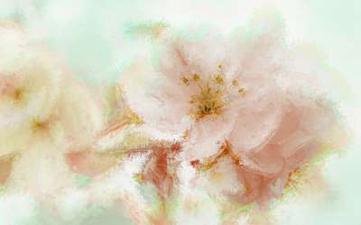 白色的花 绘画 艺术 背景