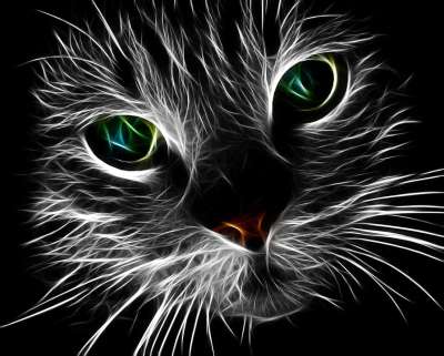 猫 猫科动物 分形 火焰 抽象 可爱的 国内的 小猫 动物
