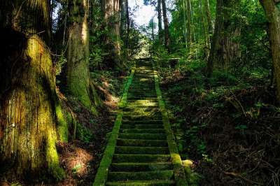 日本 麻生太郎 神社 楼梯 青苔 绿色 神社 神社 神社 楼梯