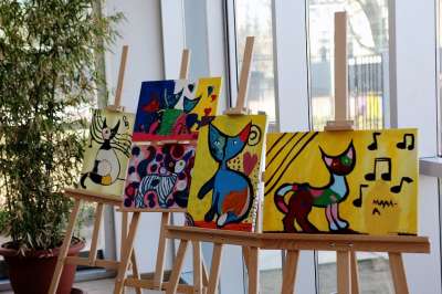 学生 图片 展览 画廊 画展 猫 艺术 展览 画展 画展