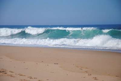 葡萄牙冲浪者 冲浪 波 体育 海洋 海滩