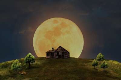 满月 房子 草地 树木 狐狸 猫头鹰 夜晚 月光 神秘 黑暗的