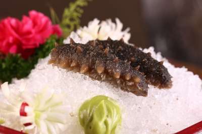 海鲜 生鲜 海参 食品 美食 海参 海参 海参 海参 海参