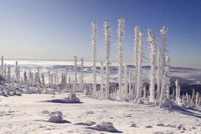 巴伐利亚森林 三把扶手椅 雪景 冬季全景 冬季魔法 冬天 冬季景观