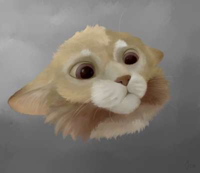 艺术 画画 猫 头 日本动画片 卡通片 插画师 设计