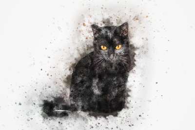 猫 宠物 艺术 抽象 水彩 优质的 小猫 艺术的 设计 水彩画