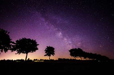 星星 银河系 树木 阴凉处 轮廓 夜空 星空 天堂 傍晚的天空