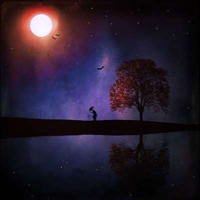 景观 夜晚 黑暗的 神秘 魔术师 蝙蝠 湖 树 天堂 月亮