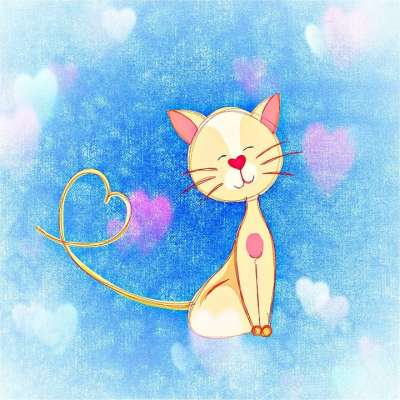 猫 心 可爱的 地吻 爱