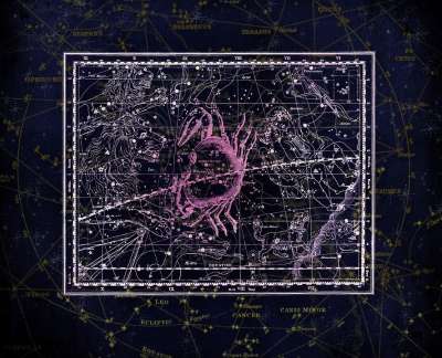 星座 星座图 天堂 星星 星空 制图 天体地图绘制